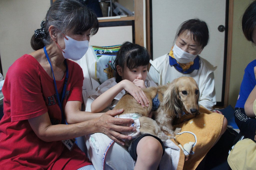 動物ふれあい訪問活動