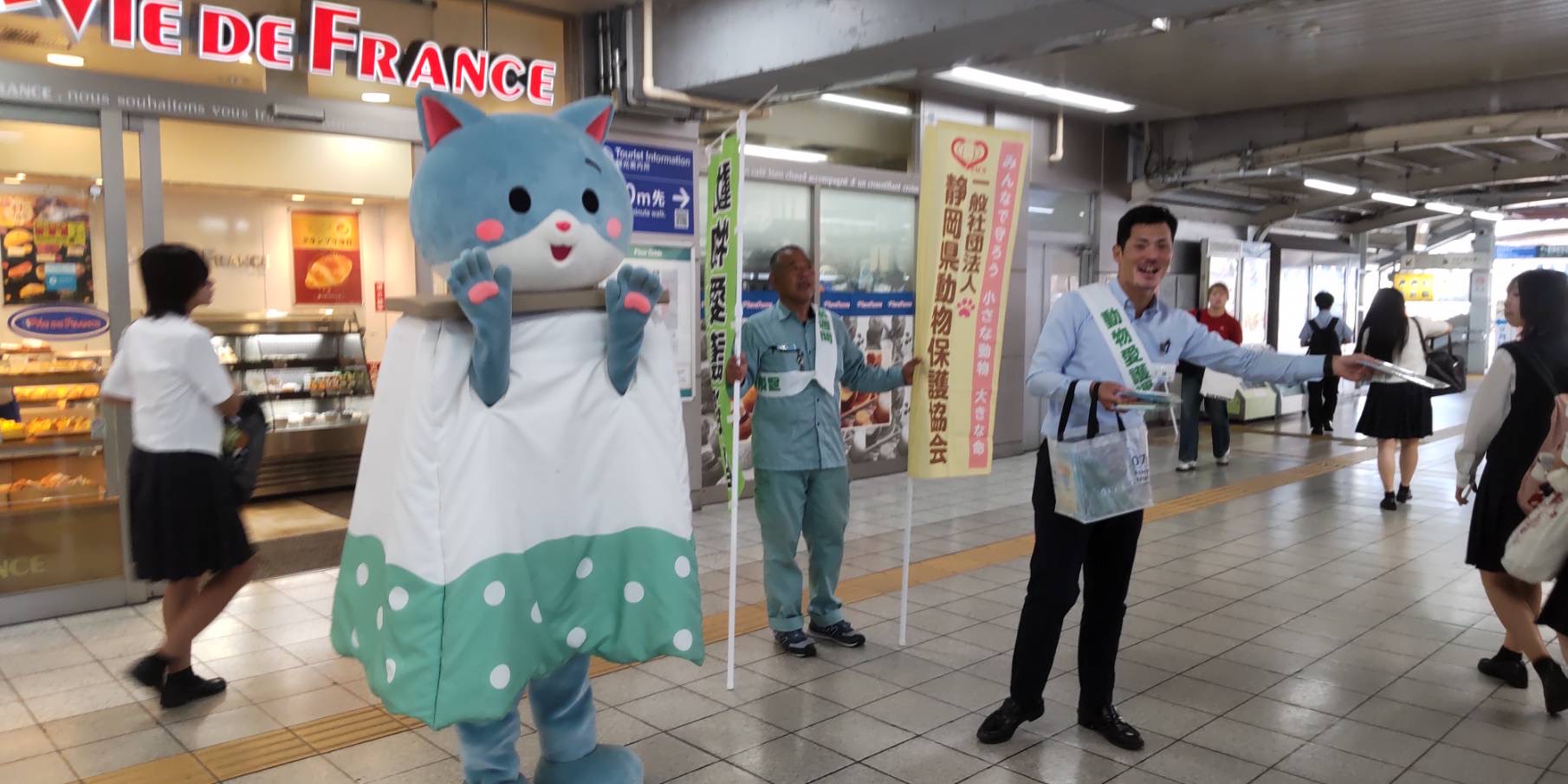 ｷｬﾝﾍﾟｰﾝ富士