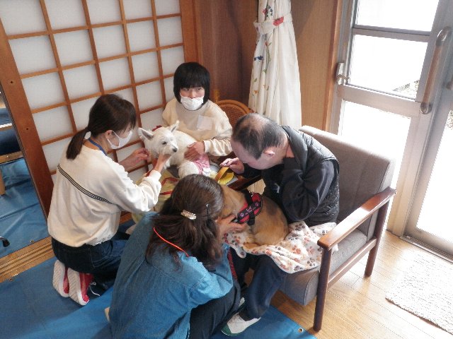 R７年度かたくりの花2