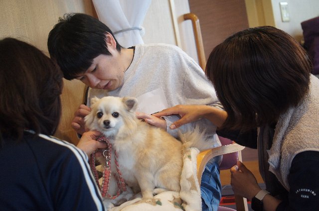 R７年度かたくりの花1