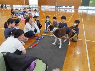 神戸1