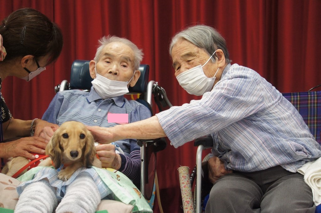 動物ふれあい訪問活動