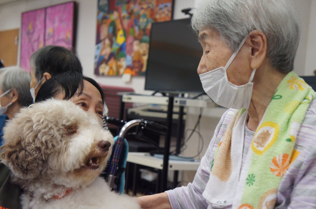 動物ふれあい訪問活動