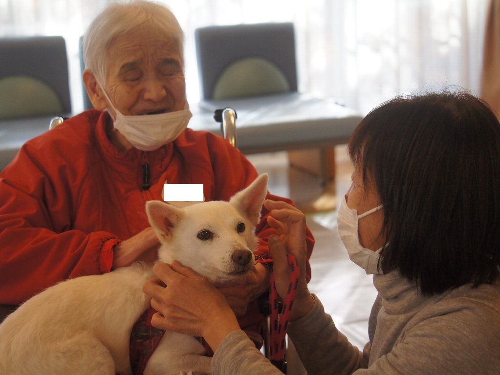 動物ふれあい訪問活動