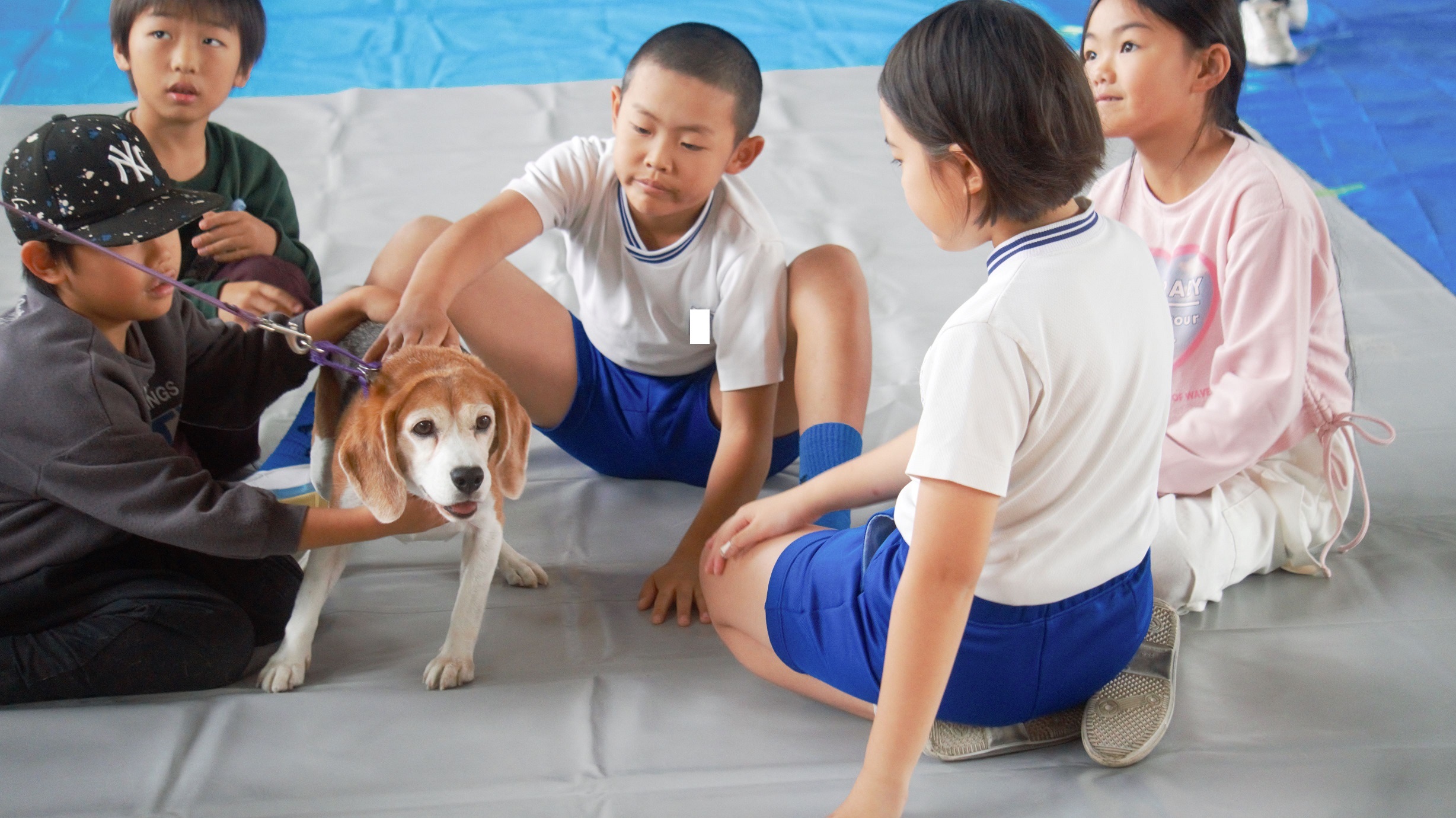 動物愛護教室