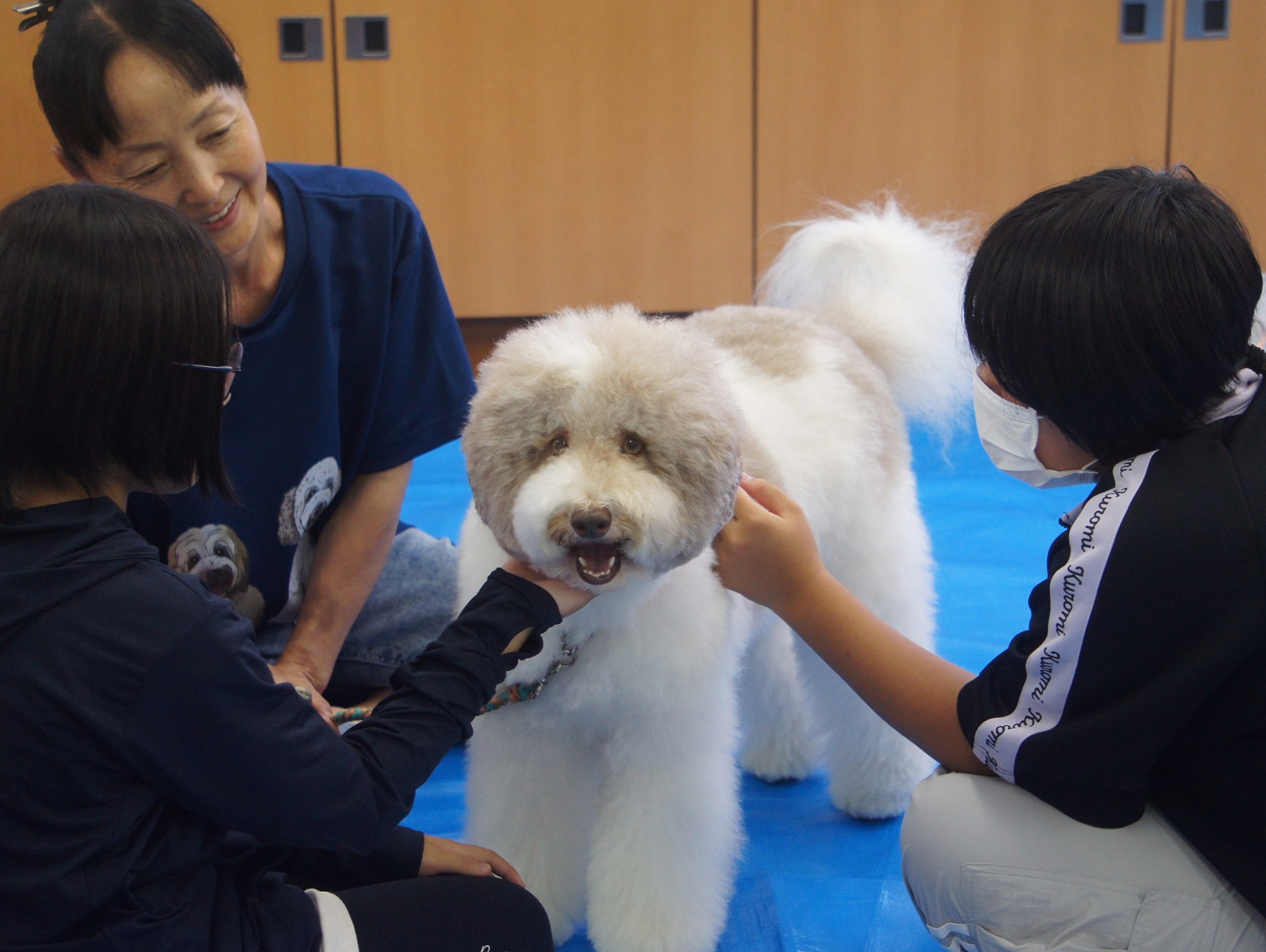 動物愛護教室