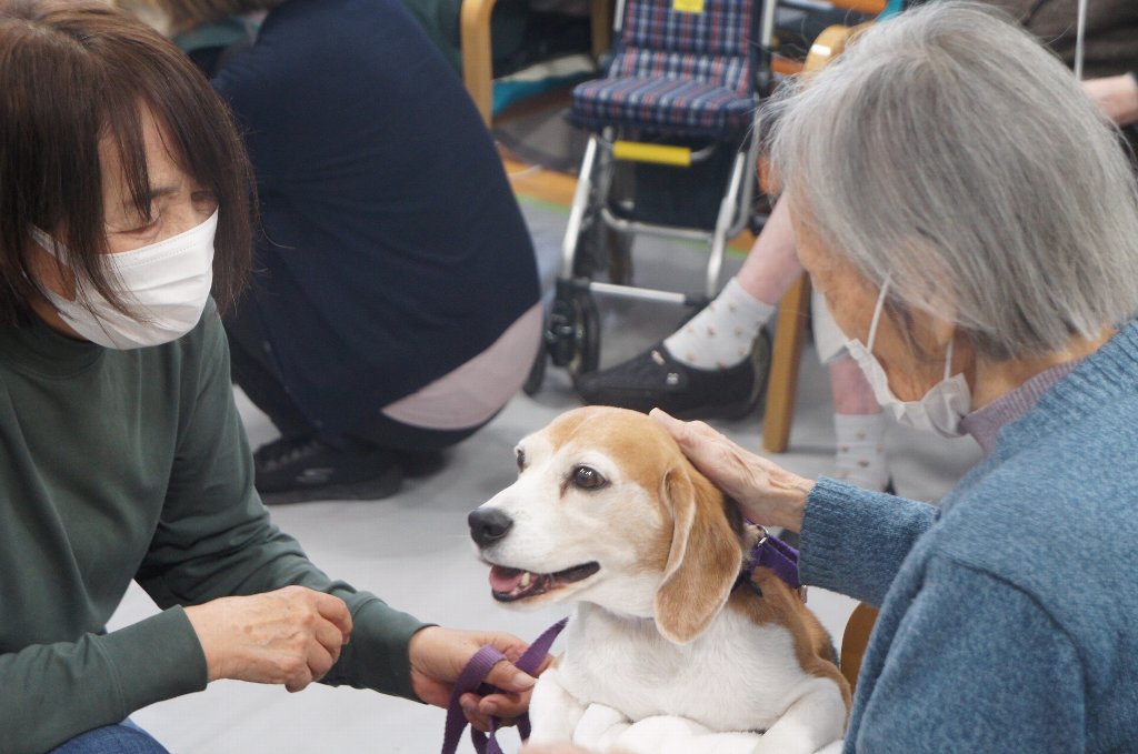 動物ふれあい訪問活動