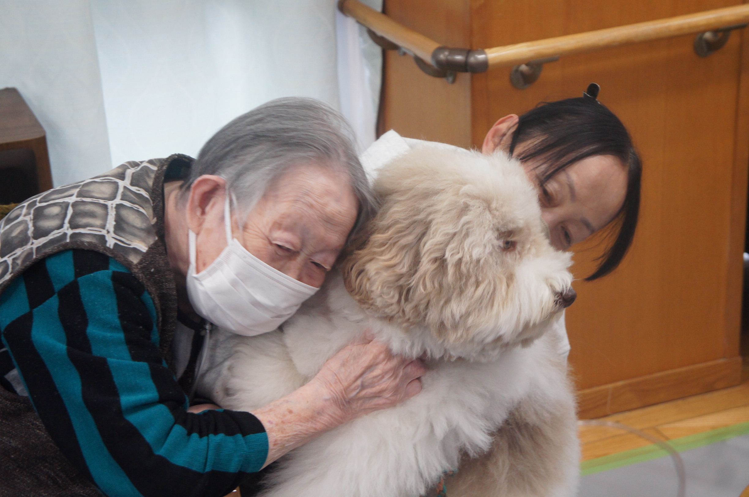 動物ふれあい訪問活動