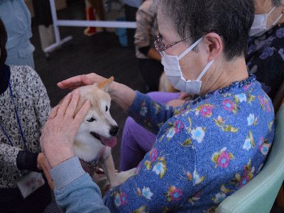 ちょうどえ~HP用写真 (8)