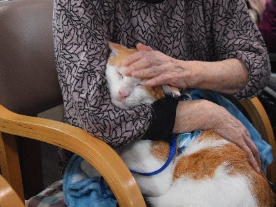 ちょうどえ~HP用写真 (1)