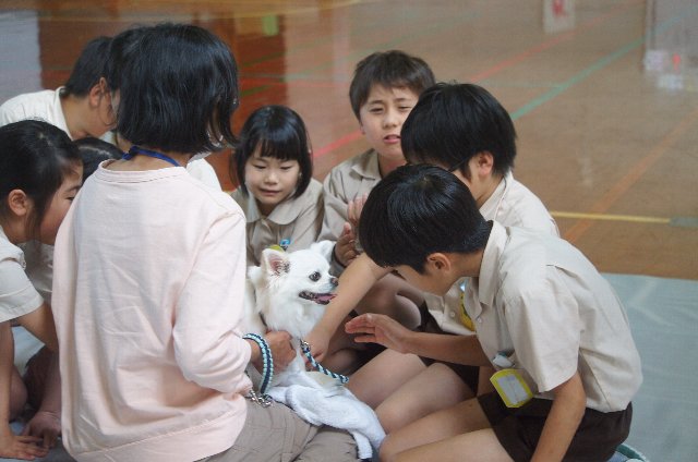 R8年度新居小３年1