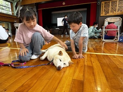 足柄1