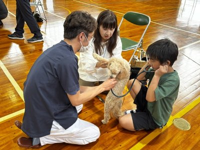 足柄2