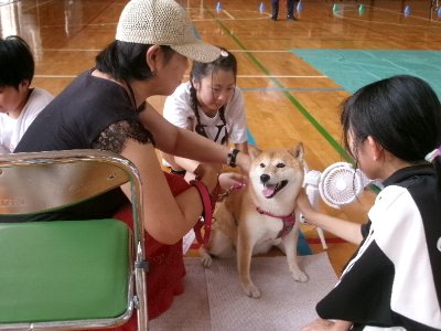 丹那小HP候補 (1)