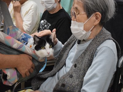 サン静浦HP候補(4)