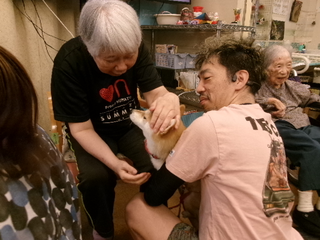 青空HP候補 (3)