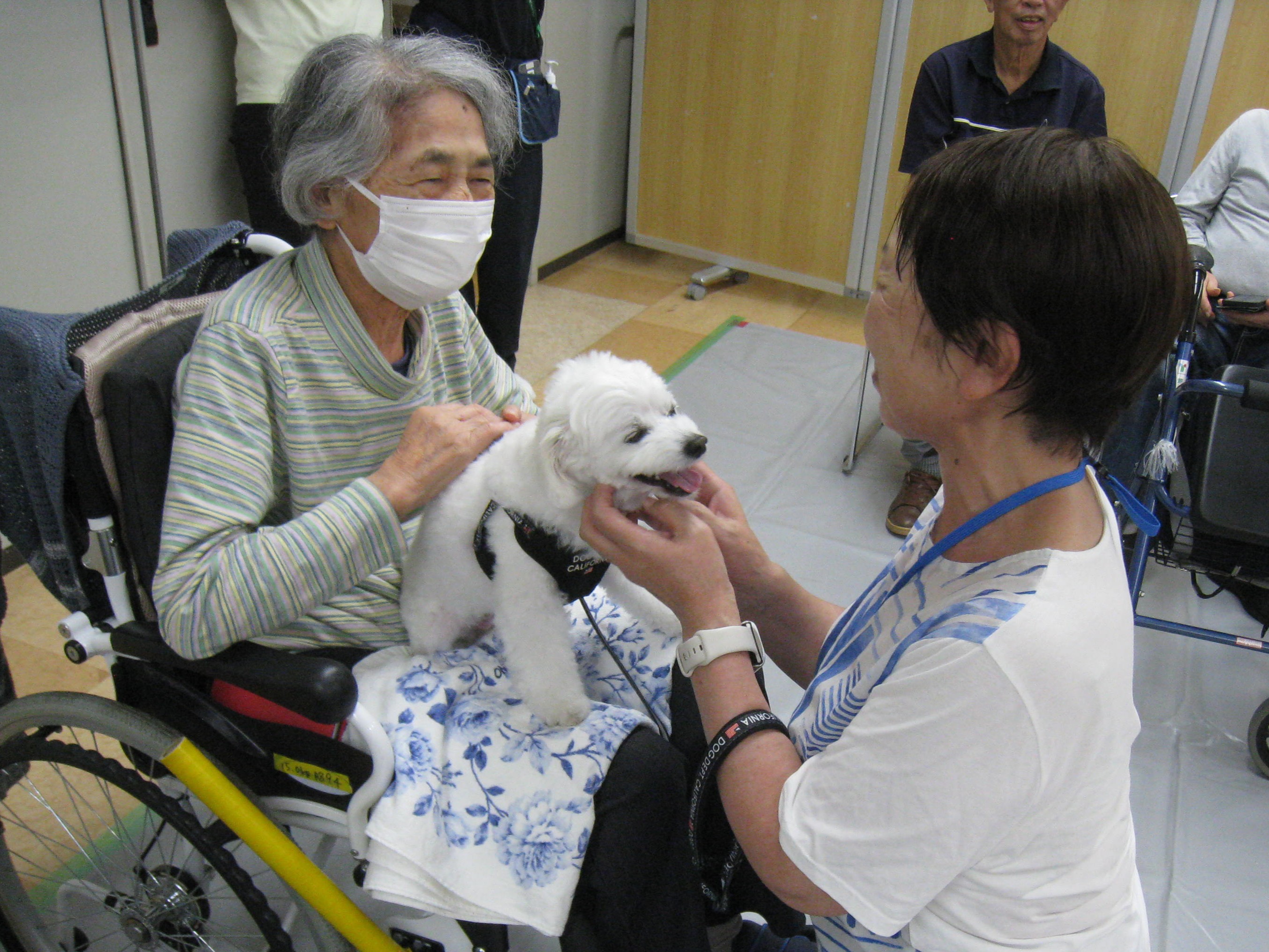 動物ふれあい訪問活動