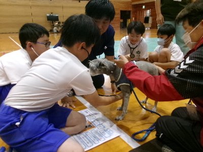 天城小 (1)