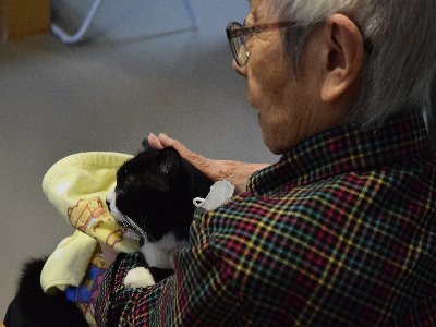 ルグラン沼津候補 (1)
